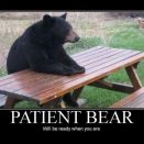 Patient bear